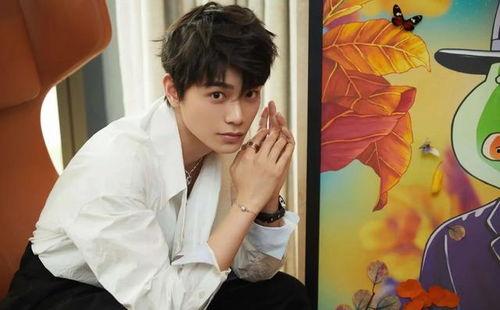 圈内人爆料丁禹兮,圈内爆料揭示明星背后的故事  第2张